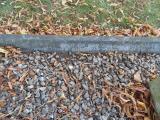 image of grave number 583170